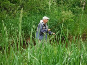 Fishing the headwaters of the Allegheny River