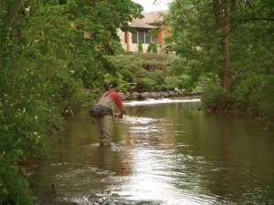 Bernie Patriacca on the Falling Spring