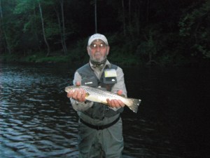 Ron Hill - 19" Brown