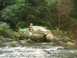 Tim Brookens on the Savage