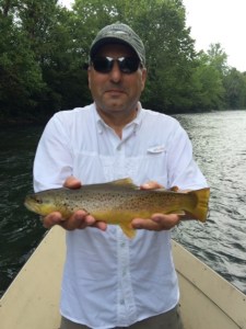 Ted Banakis' big Brown