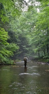 Took Coder on Cedar Run